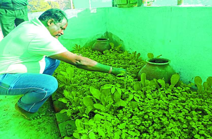 घर की छत पर बनाया गार्डन और उगा दिए 40 प्रकार के दुर्लभ प्रजाति के औषधीय पौधे