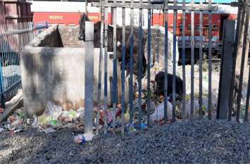 Contractor replaced ballast with garbage dump, now workers putting gar कचरा डंप की जगह ठेकेदार ने लगा दिए गिट्टी के ढेर, अब कचरा डालने कर्मचारी हो रहे परेशान, पढ़ें खबर