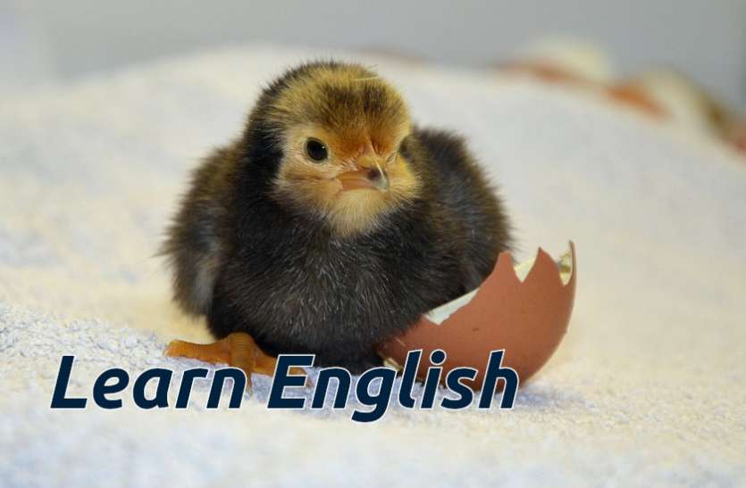 english, Education, learn english, education news in hindi, toefl, education tips in hindi, how to learn english, Learn English: जानिए अंग्रेजी भाषा के नए शब्द और बोलिए शानदार इंग्लिश