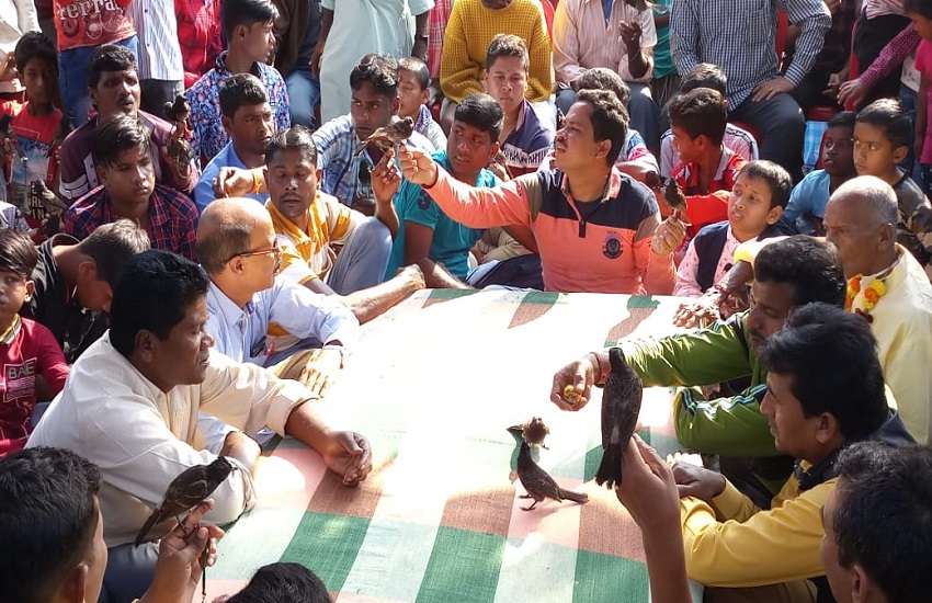 कहीं आस्था की डुबकी, तो कहीं बुलबुल फाइट करा मनाई मकर संक्रांति
