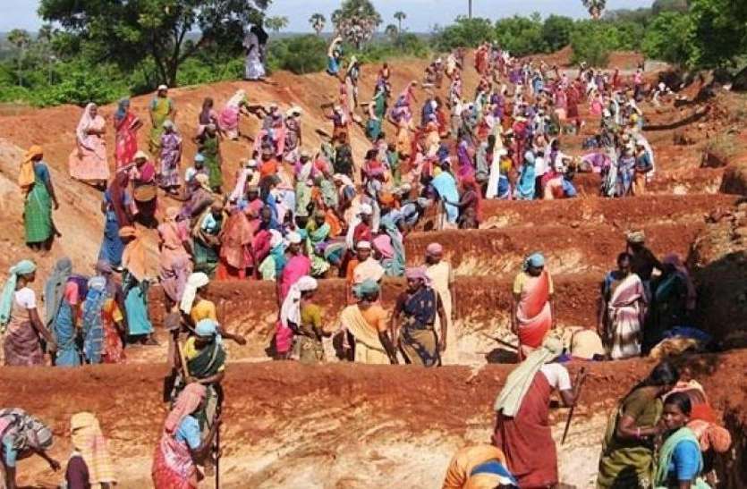 हरियाणा के मनरेगा मजदूरों की होगी देश में सर्वाधिक दिहाड़ी हरियाणा सरकार देगी मनरेगा श्रमिकों को देश में सबसे ज्यादा मजूदरी, जानिए कितने रुपए मिलेंगे?
