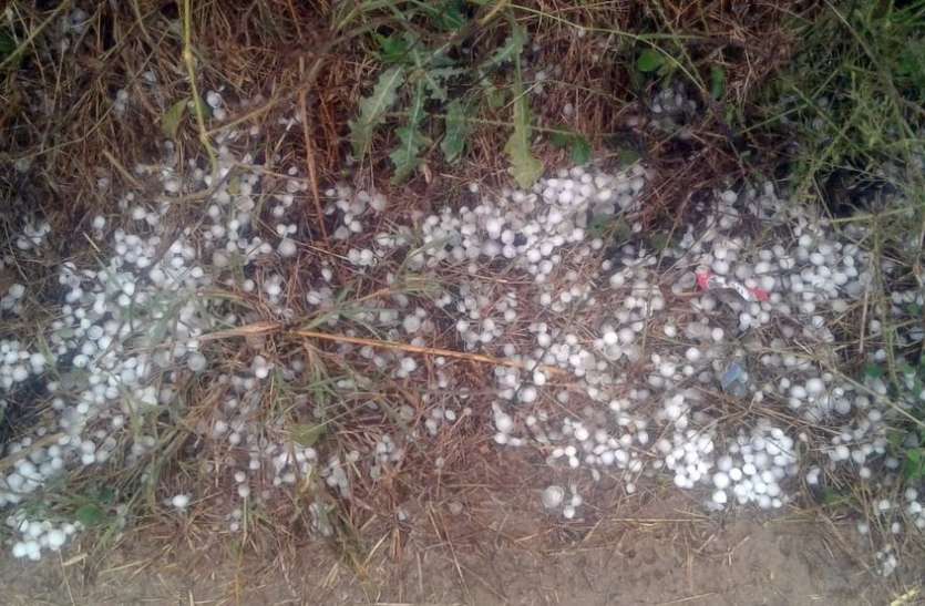 माघ में बरस रहे मेघों ने बढ़ाई अन्नदाता की चिंता,माघ में बरस रहे मेघों ने बढ़ाई अन्नदाता की चिंता माघ में बरस रहे मेघों ने बढ़ाई अन्नदाता की चिंता