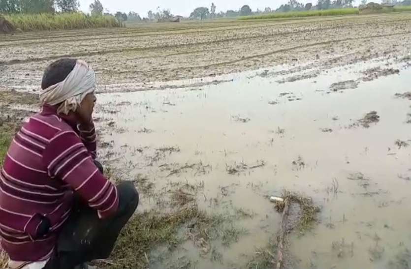 बारिश और ओलावृष्टि से हुआ है नुकसान तो किसान दें ध्यान, बीमा पाने के लिए 72 घंटे तक भर दें फॉर्म, यहां करना है जमा बारिश और ओलावृष्टि से हुआ है नुकसान तो किसान दें ध्यान, बीमा पाने के लिए 72 घंटे तक भर दें फॉर्म, यहां करना है जमा