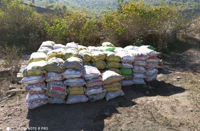 झाडिय़ों में छुपाकर रखा 700 बोरी कोयला जब्त झाडिय़ों में छुपाकर रखा 700 बोरी कोयला जब्त
