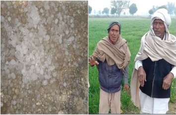 mavath in rajasthan weather Update Agriculture Rabi season crops कहीं मावठ से फायदा तो कहीं ओलावृष्टि से नुकसान