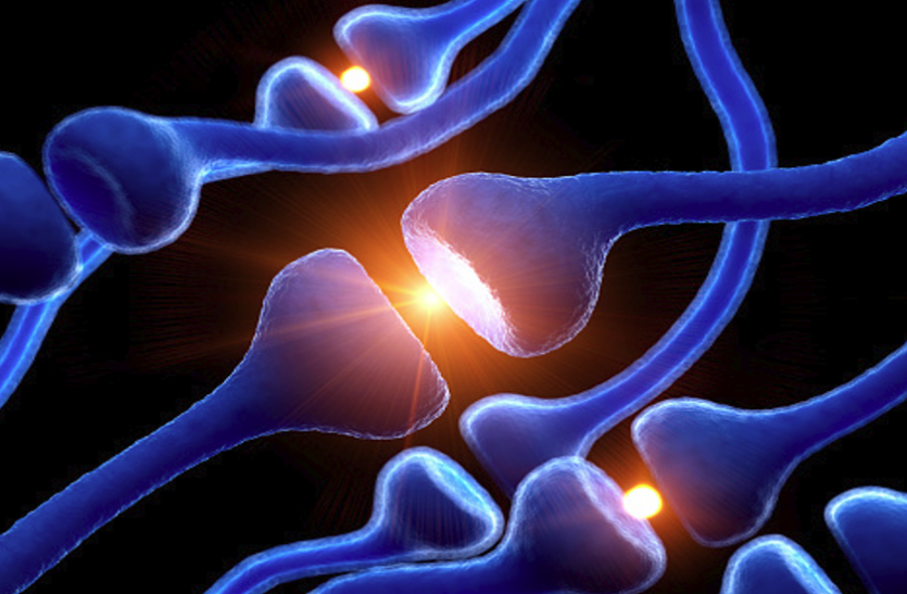Nerves Recovery Naturally Nerves Recovery: नसों के दर्द से राहत के लिए अपनाएं ये नेचुरल तरीके