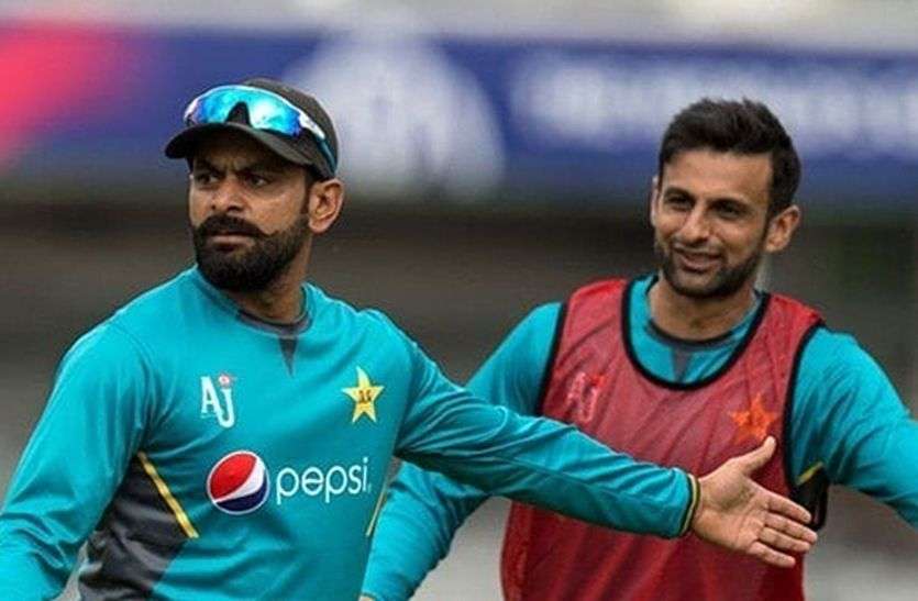 shoaib malik and mohammad hafeez पाकिस्तान क्रिकेट टीम में मोहम्मद हफीज और शोएब मलिक की वापसी