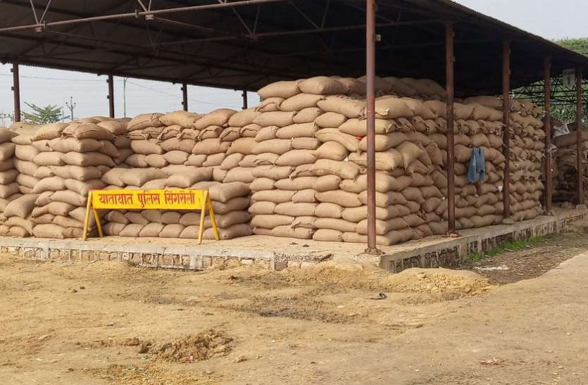 Singrauli district behind target in procurement खरीद के बचे चंद दिन : 5 एमटी तक ही पहुंचा धान खरीद का आंकड़ा