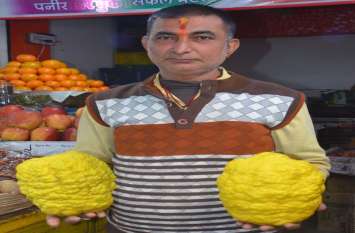 Quarter to two kilograms of lemon in bhilwara पौने दो किलो को नींबू
