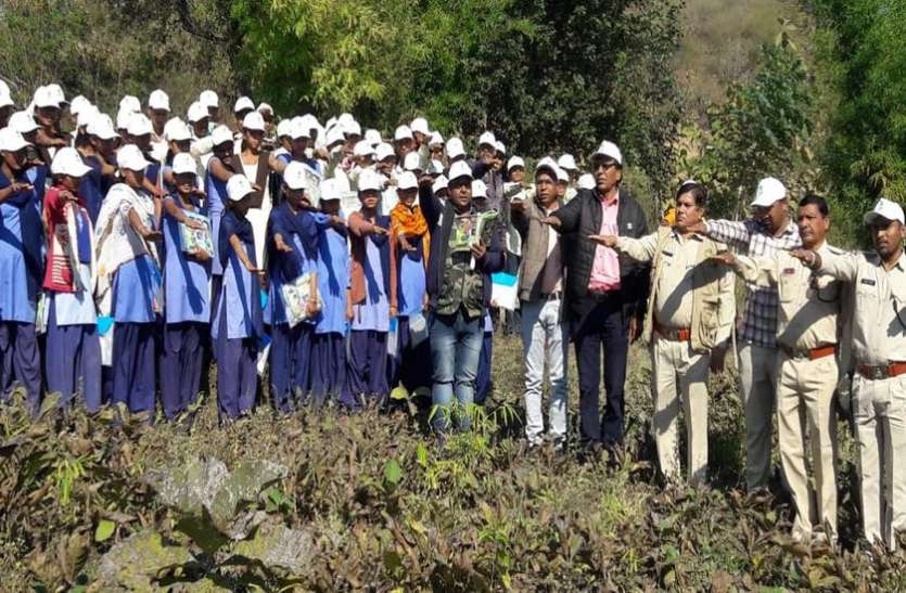 पर्यावरण की सुरक्षा के लिए पेड़-पौधों के रिश्तेदार बनकर देखभाल करना होगी पर्यावरण की सुरक्षा के लिए पेड़-पौधों के रिश्तेदार बनकर देखभाल करना होगी