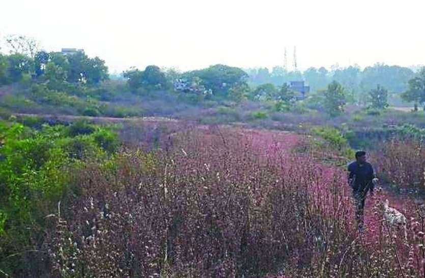 लाल पहाड़ी। फर्जीवाड़ा: सरकारी रिकॉर्ड में पहाड़ और घास मद में दर्ज जमीन हो गई निजी के नाम