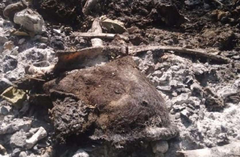 दो माह से अधिक का समय बीतने के बाद भी जवाबदारों पर नहीं हुई कार्रवाई दो माह से अधिक का समय बीतने के बाद भी जवाबदारों पर नहीं हुई कार्रवाई