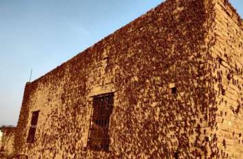 Locusts attack homes after fields खेतों के बाद घरों पर टिड्डियों का हमला