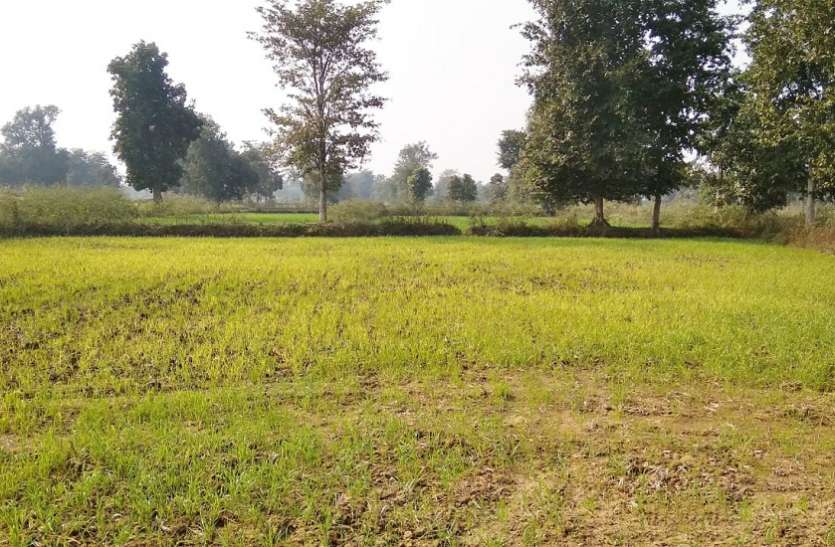 आसमान पर छाई बदली, किसानों के माथे पर चिंता की लकीरें आसमान पर छाई बदली, किसानों के माथे पर चिंता की लकीरें