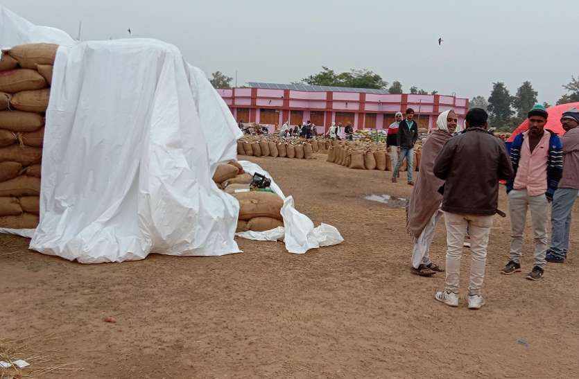 सोसायटी में कर्मचारियों की सांठगांठ से कम तौली धान सोसायटी में कर्मचारियों की सांठगांठ से कम तौली धान