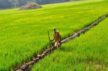 raid on shops of pesticides किसानों की फसल को बर्बाद करने की हो रही थी बड़ी साजिश, समय रहते हो गया खुलासा, देखें वीडियो