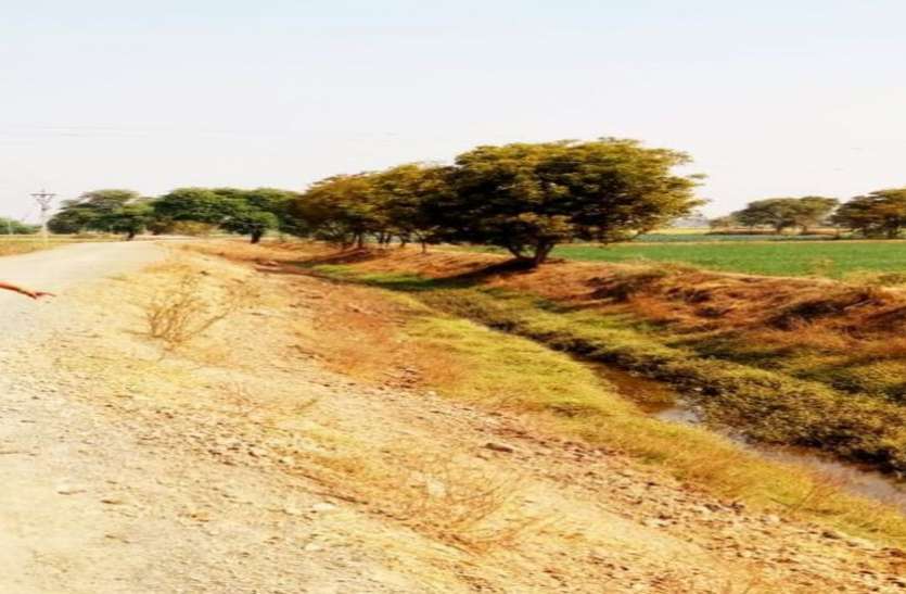 मात्र डेढ़ किलोमीटर के मार्ग निर्माण से सेमल्दा जुड़ जाएगा सुंद्रेल से मात्र डेढ़ किलोमीटर के मार्ग निर्माण से सेमल्दा जुड़ जाएगा सुंद्रेल से