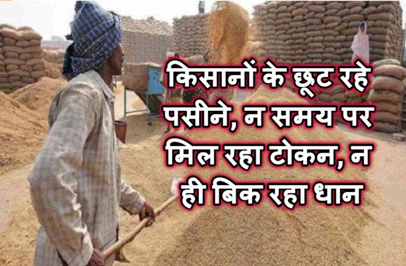 धान बेचने में किसानों के छूट रहे पसीने, 47 दिन बाद भी नहीं हुआ बिके धान का भुगतान धान बेचने में किसानों के छूट रहे पसीने, 47 दिन बाद भी नहीं हुआ बिके धान का भुगतान