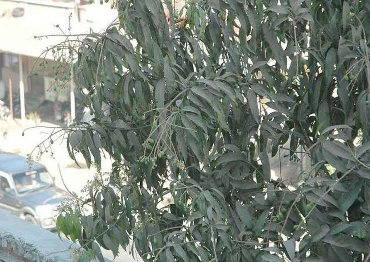 सर्दी का सितम, तापमान में आई गिरावट