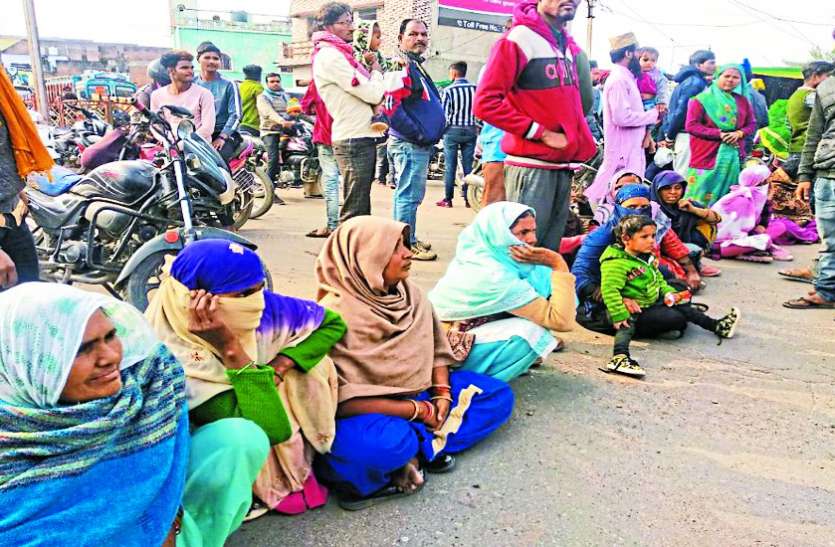 Laborers are not getting, they are busy in saving food grains with fam नहीं मिल रहे मजदूर, परिवार के साथ अनाज को सहेजने में जुटे हैं अन्नदाता