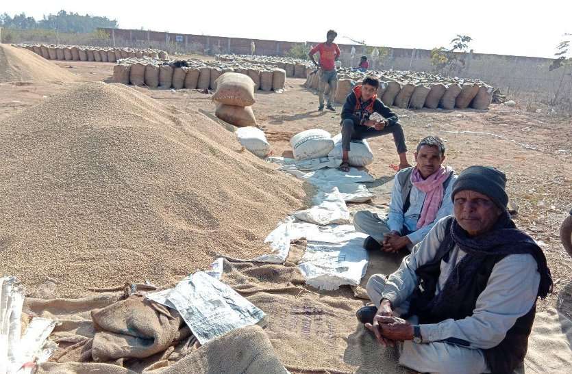 Five thousand farmers could not sell paddy in Katni district धान की सुरक्षा में सामने आई विपणन विभाग की बड़ी लापरवाही, हजारों क्विंटल धान भीगी