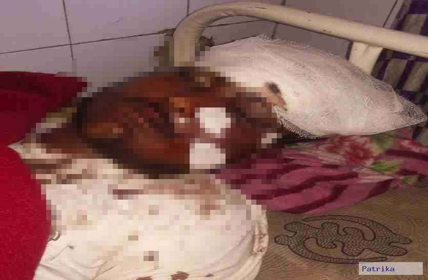 अंधेरे में ट्राली से टकराई बाइक, बाइक सवार दोनों युवक गंभीर घायल अंधेरे में ट्राली से टकराई बाइक, बाइक सवार दोनों युवक गंभीर घायल