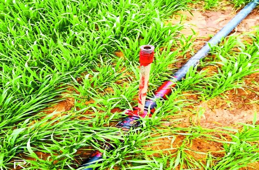 एक ही रात में आधा दर्जन स्थानों से फव्वारे और नोजल चोरी एक ही रात में आधा दर्जन स्थानों से फव्वारे और नोजल चोरी