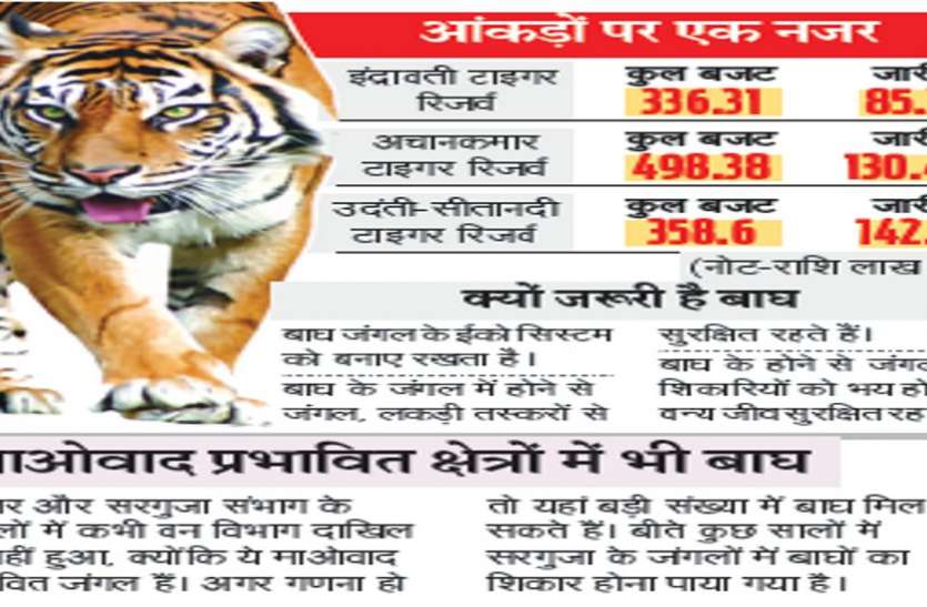 छत्तीसगढ़ में कितने बाघ? अब तो 18 का भी दावा नहीं कर रहा वन विभाग छत्तीसगढ़ में कितने बाघ? अब तो 18 का भी दावा नहीं कर रहा वन विभाग
