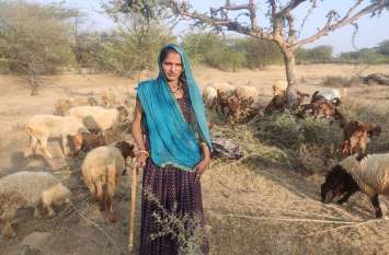 In this panchayat of Rajasthan, Bhanwari became a sarpanch to feed sh राजस्थान के भीलवाड़ा की इस पंचायत में भेड़ों को चराने वाली भंवरी बन गई सरपंच
