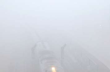 fog and winter in sikar rajasthan घने कोहरे की आगोश में सीकर, दृश्यता महज 10 मीटर