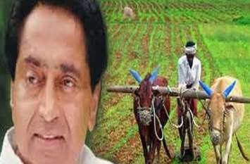Kamal Nath government's scheme for Madhya Pradesh farmers कमलनाथ सरकार की मध्यप्रदेश किसानों के लिए योजना,यहां पढ़े पूरी खबर