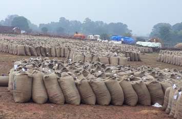 Thousands of quintal paddy kept open in the rain खुले में रखी हजारों क्ंिवटल धान बारिश से भीगी, खराब होने का खतरा बढ़ा