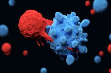 New T-cell therapy could provide universal cancer treatment इंसानी रक्त के टी-सेल से कैंसर का खात्मा होगा संभव