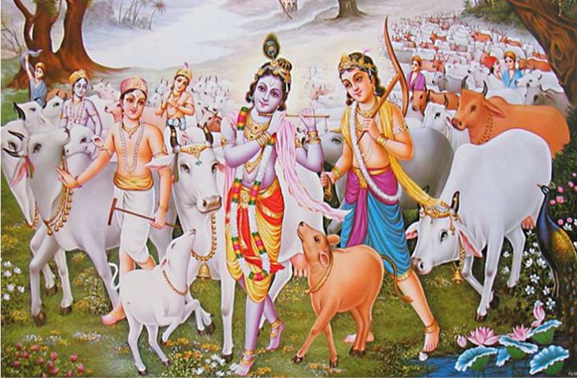 Shri Krishna For Cow 108 Name Jaap In Hindi - गाय माता के इन नामों के जप से प्रसन्न हो जाते हैं भगवान श्रीकृष्ण | Patrika News