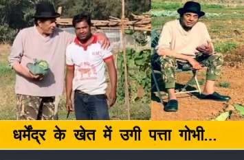 Dharmendra farming video goes VIRAL on social media धर्मेंद्र के खेत में उगी पत्ता गोभी, खुशी में किसान से साथ बनाया वीडियो