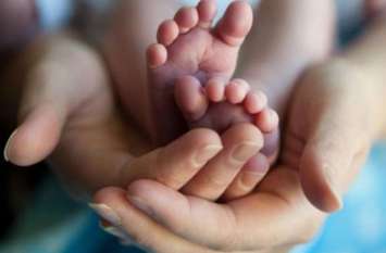 HC seeks reply from state govt on infants deaths in Kota and Jodhpur कोटा व जोधपुर में नवजातों की मौत पर हाईकोर्ट ने मांगा जवाब