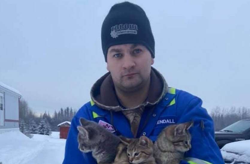 Man rescues frozen kittens by pouring hot coffee एक शख्स ने गर्म कॉफी के इस्तेमाल से बिल्ली के बच्चों को बचाया, बर्फ में जम गई थी तीनों की पूंछ