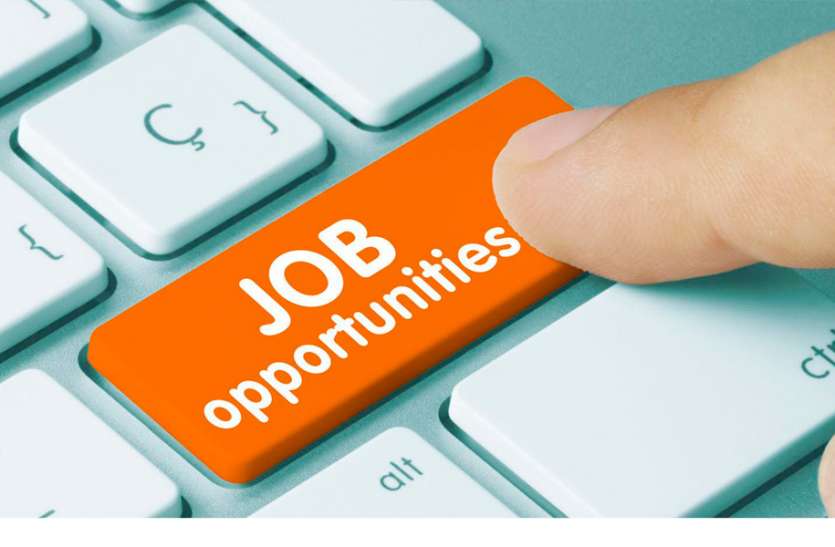Job Jobs : कॅरियर फेयर में 4200 पदों पर मिलेंगी 12 हजार नौकरियां, युवाओं के लिए आईं 35 कम्पनीज