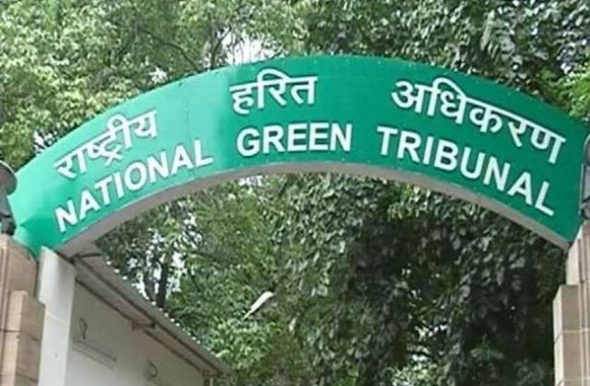 NGT अलवर कलेक्टर 25 हजार रुपए के जमानती वारंट से तलब