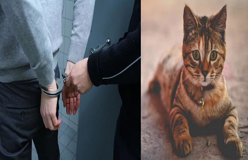 killer2.png