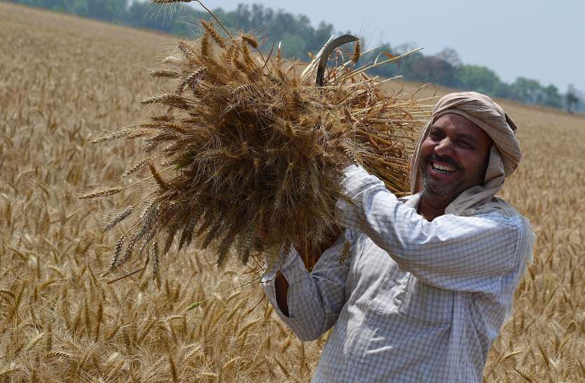 farmers सुखद बढ़ापे को लेकर ज्यादा जागरूक हैं हरियाणा के किसान
