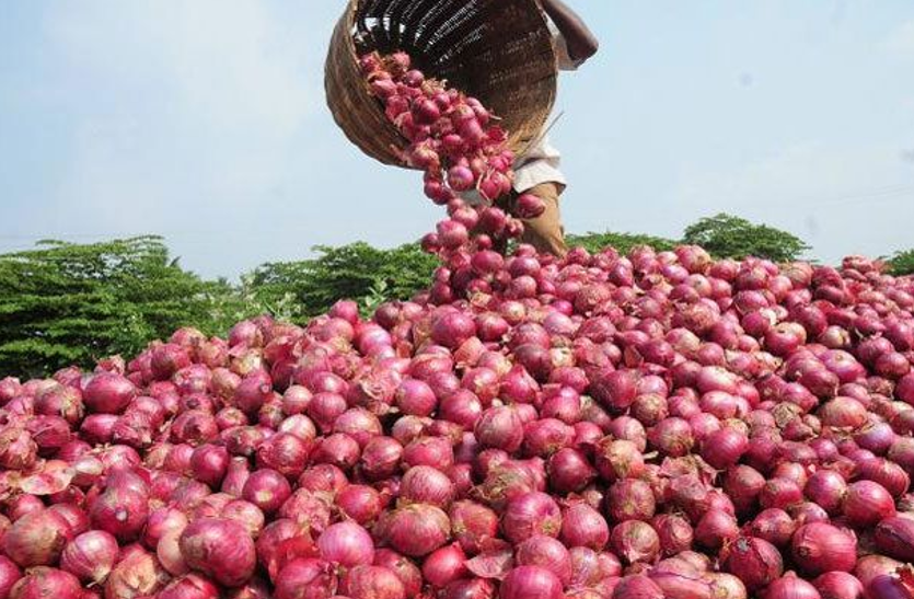 onion.png बारिश की तबाही अब प्याज की कीमतों पर, थोक में 60 के पार, चिल्हर में शतक की ओर