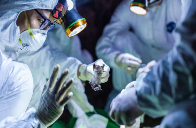 coronavirus अमरीका ने Coronavirus से लड़ने के लिए चीन और अन्य देशों को 715 करोड़ रुपये मदद की पेशकश की