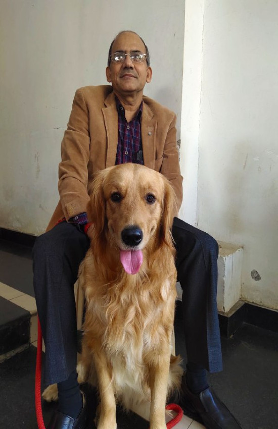 Dog From Naughty Breed Seen In Dog Show ड ग श म द ख ख ख र स ल कर न ट ब र ड क क त त स ट ट स क य सभ क इ टरट नम ट Patrika News