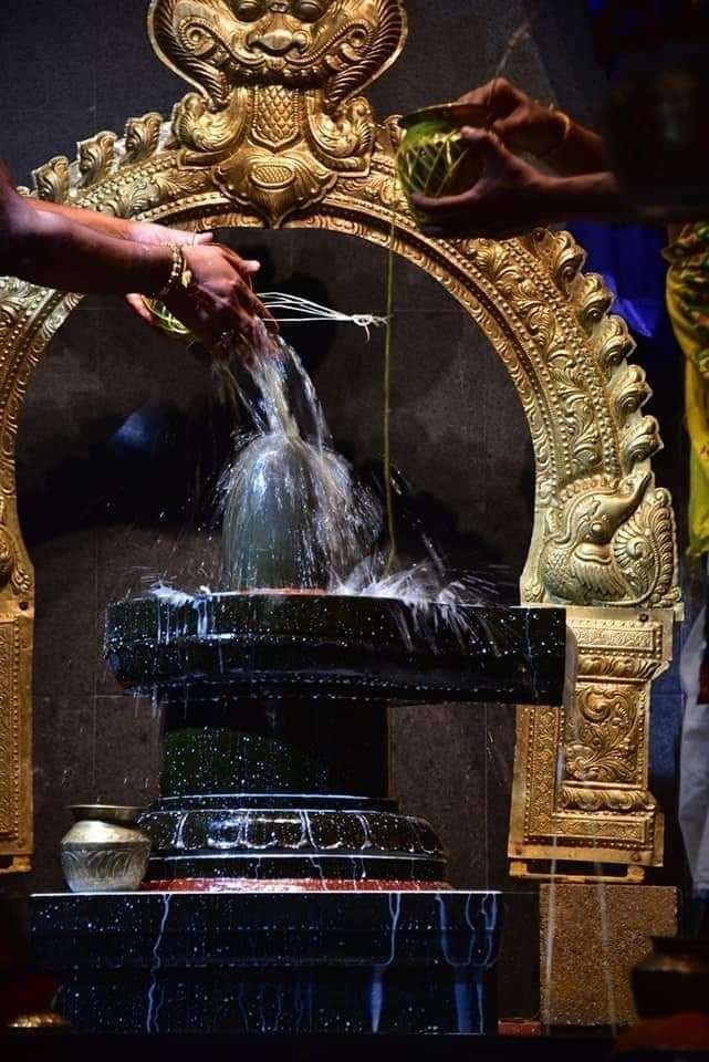 महाशिवरात्रि के दिन अपनी इच्छानुसार करें शिव जी का अभिषेक, धन में होगी वृद्धि