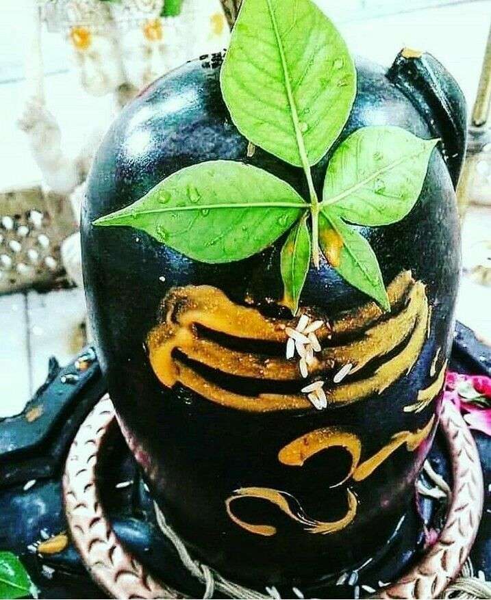 महाशिवरात्रि के दिन भगवान शिव को चढ़ा दें ये एक चीज, मिल जाएगा सबकुछ