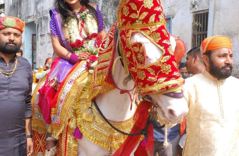 The bride arrived on a mare for the bridegroom from America अमरीका से आए दूूल्हे के लिए घोड़ी पर सवार होकर पहुंची दुल्हन