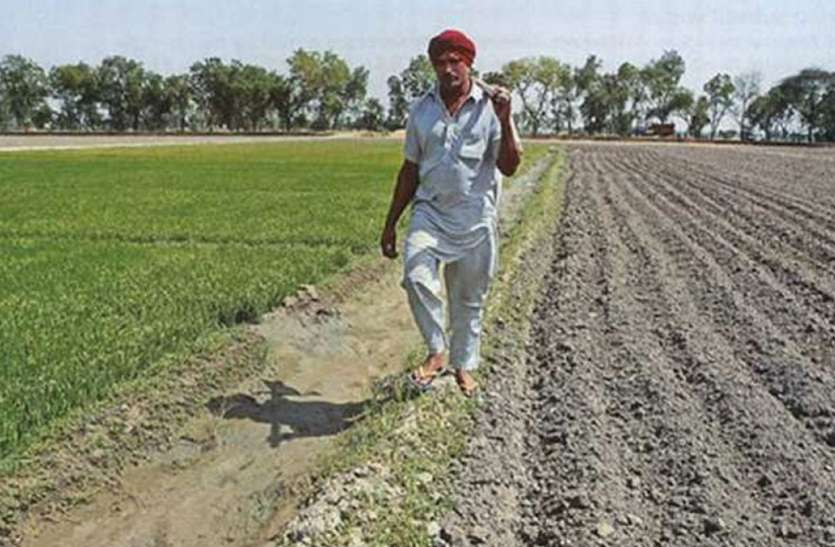 Farmers मेघदूत ऐप से किसान कर सकते हैं अपनी दोगुनी आय