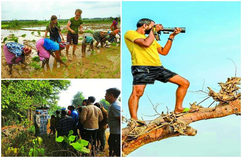 नक्सल समस्या को दरकिनार कर बस्तर के ये युवा यहां की खूबसूरती को इस तरह पहुंचा रहे देश विदेश तक, और.....