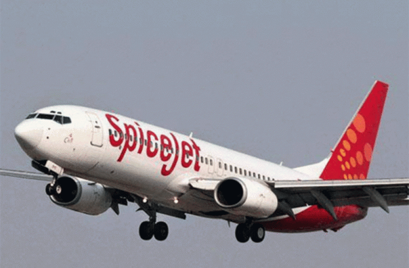 SpiceJet released quarterly result SpiceJet ने जारी किए तिमाही नतीजे, कंपनी को हुआ73 करोड़ रुपए का मुनाफा